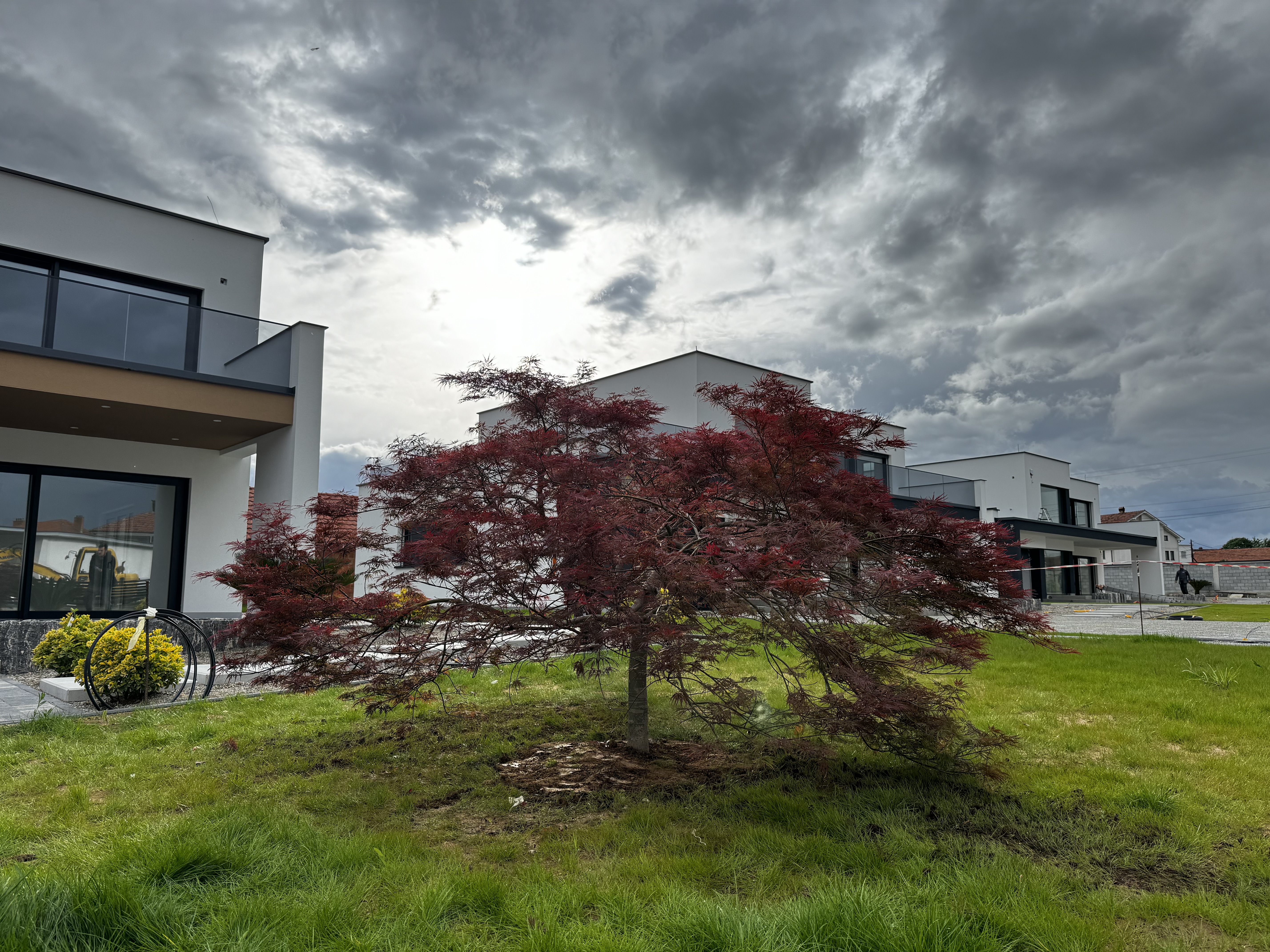 Beautiful landscaped garden